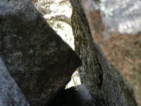 Mossy rock angles