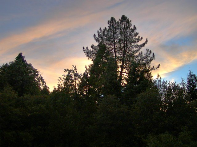 Palomar Sunset II