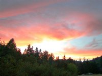 Palomar Sunset V