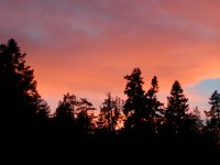 Palomar Sunset VII