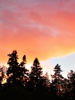 Palomar Sunset VIII
