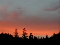 Palomar Sunset IX