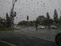 From the Car Window