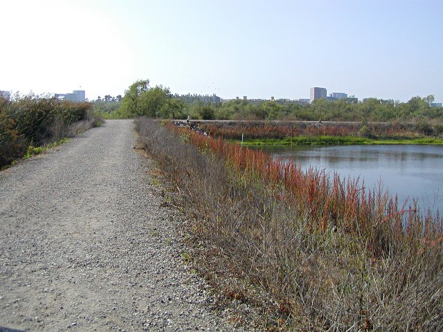 Straight path