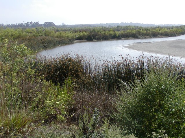 Bend in stream
