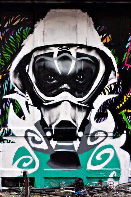 Masked Bear