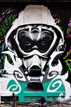 Masked Bear