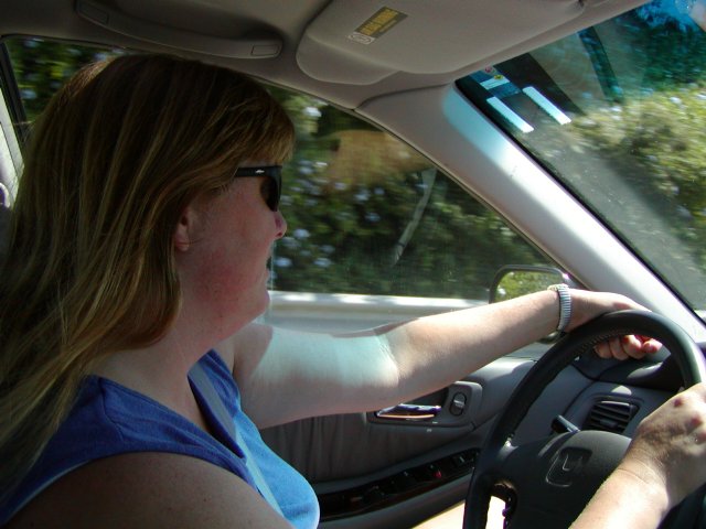 Diana drives