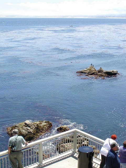 Monterey Bay View