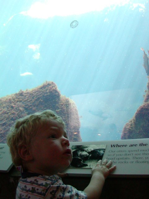 Timothy at the Otter Tank