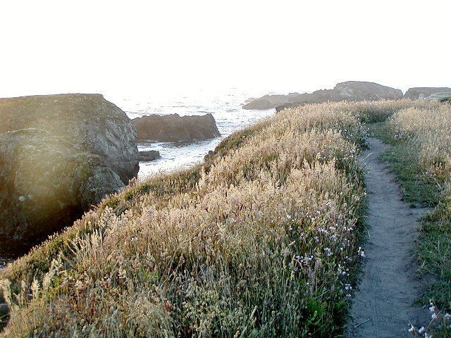 Headlands path