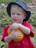 Timothy found his pumpkin quickly