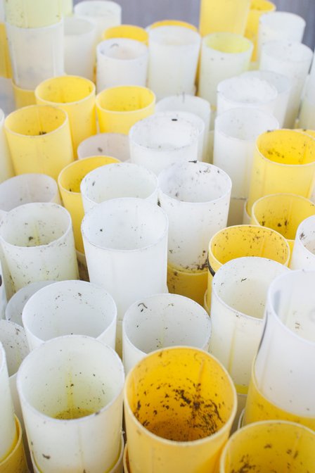 Flowerpots, II