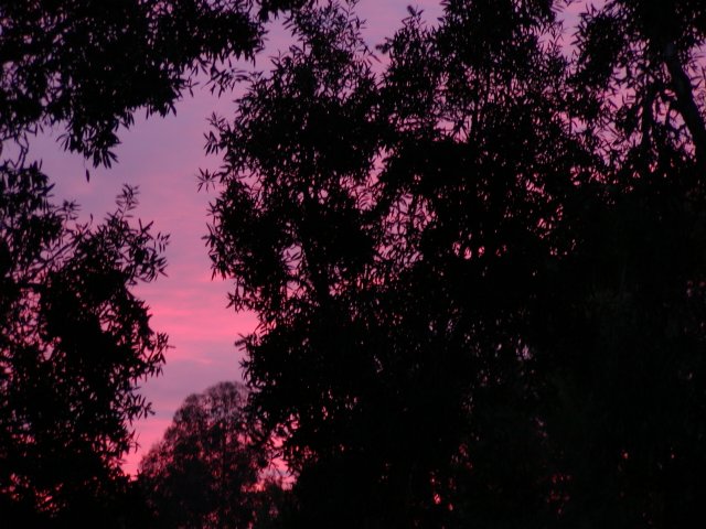 Sunset, III