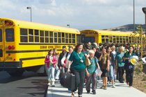 The Buses Arrive