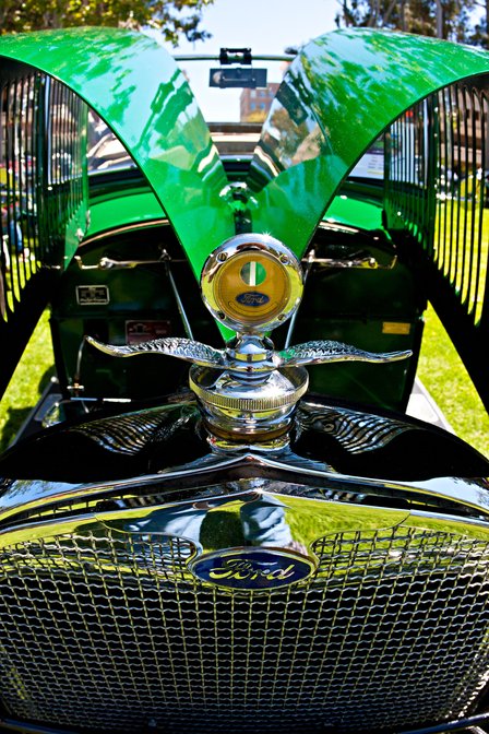 Gullwing Hood