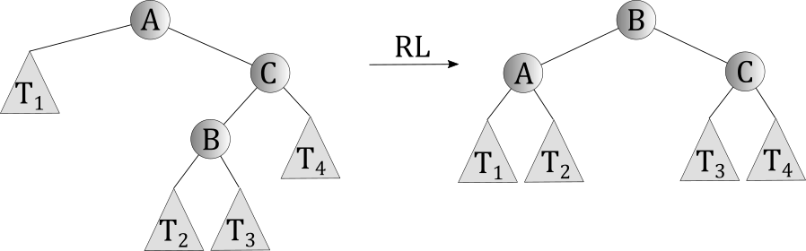 RL rotation in an AVL tree