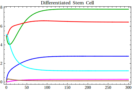 Graphics:Differentiated Stem Cell