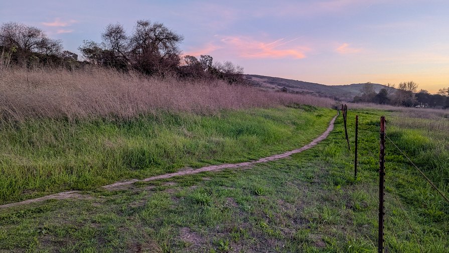 A view looking south at sunset from the northwest corner of the UC Irvine Ecological preserve. A footpath extands from the lower left towards the San Joaquin Hills in the upper right, through bright green new growth of low plants, with a rebar-and-wire fence to the right of the path separating the preserve from an industrial park. Another hill rises above the path to the left, with dry brown mustard stalks on its lower slopes and live oaks rising dark green above them. The sky shades from dark blue at the top left to yellow towards the horizon on the right, with scattered pink sunset clouds.