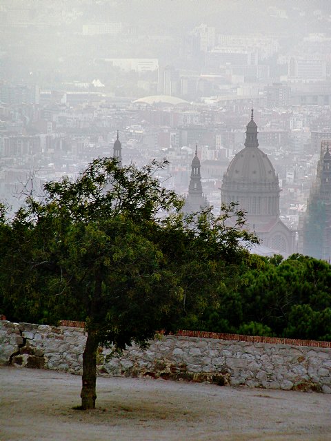 Downward vista