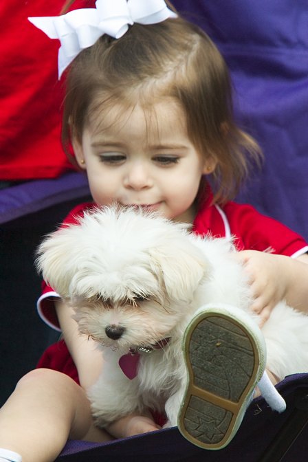 Emma With Puppy, II
