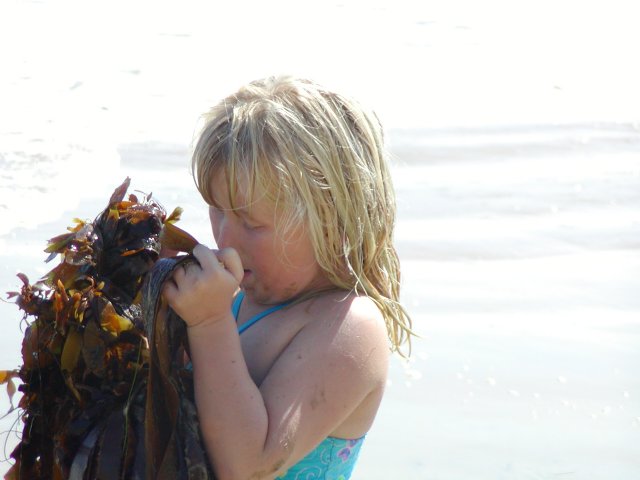 Sara holds some seaweed
