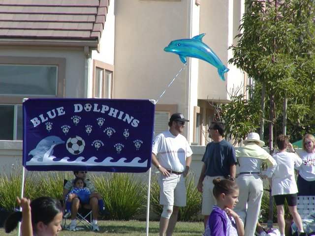 Dolphin Banner
