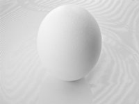 Standing Egg on White Plate