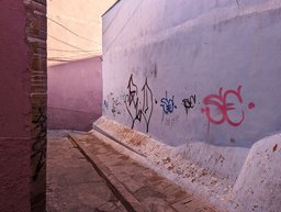 Unknown Guanajuato alley, V