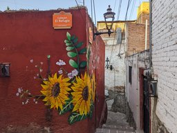 Sunflower street art at Callejóns el Refugio and Flores