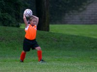 Tiger throw-in