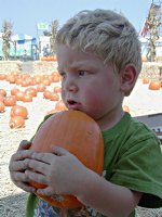 Timothy with pumpkin