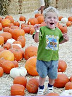 Timothy in the Pumpkin Patch