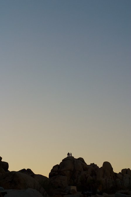 Evening Climbers