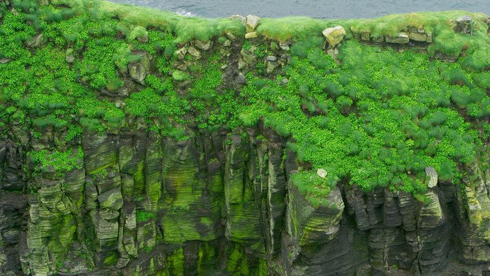 Cliffs Of Moher, VI