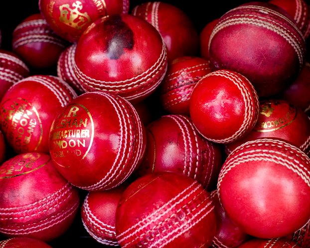 Portobello Cricket Balls