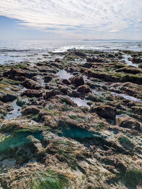 Low tide at Crystal Cove State Park, California