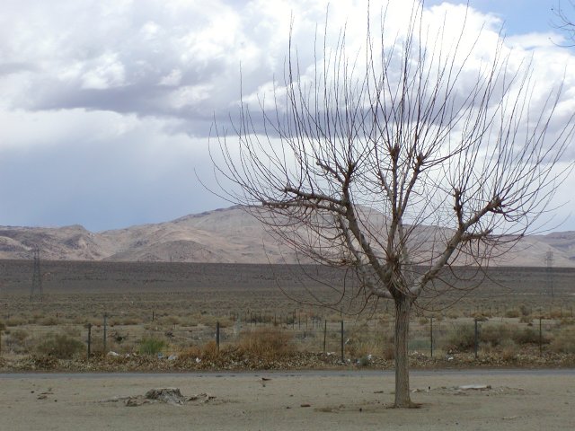 Coso Junction, V