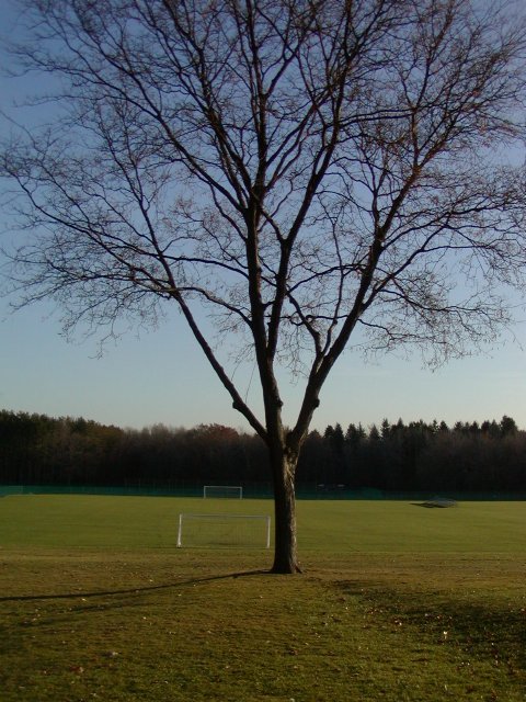 Amherst soccer field