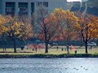 Opposite bank