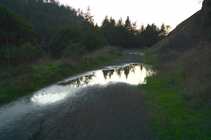 Puddles In The Path