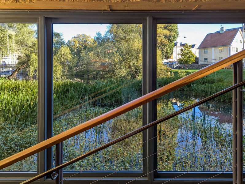 Reeds grow in a backwater of the Motala ström, as seen through a window in a stairway of the Louis de Geer Concert & Congress. The rail of the stair cuts diagonally downward from upper right to lower left.