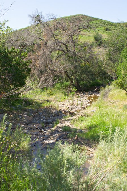 A small creek