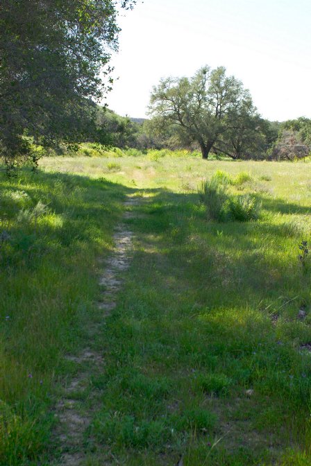 The trail passes through a meadow