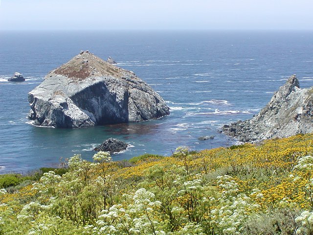 Barren rock and flowered hillside