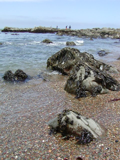 Moonstone beach stones