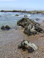 Moonstone beach stones