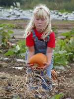Sara tries to disentangle a pumpkin