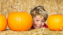 Pumpkin Head, I