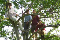 Arborial, III
